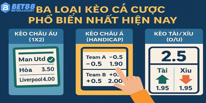 Tổng quan ba loại kèo chính: Châu Âu, Châu Á, Tài Xỉu