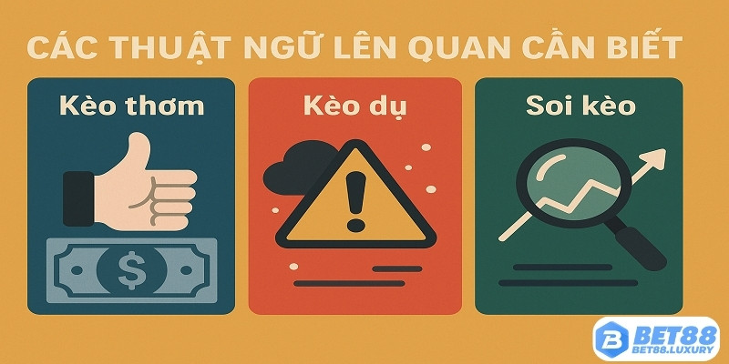 Các thuật ngữ liên quan cần biết