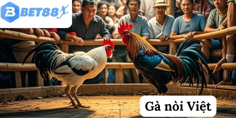 Gà nòi Việt