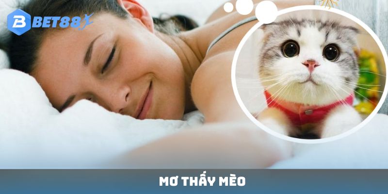 Giấc dream về loài mèo nên đánh con gì