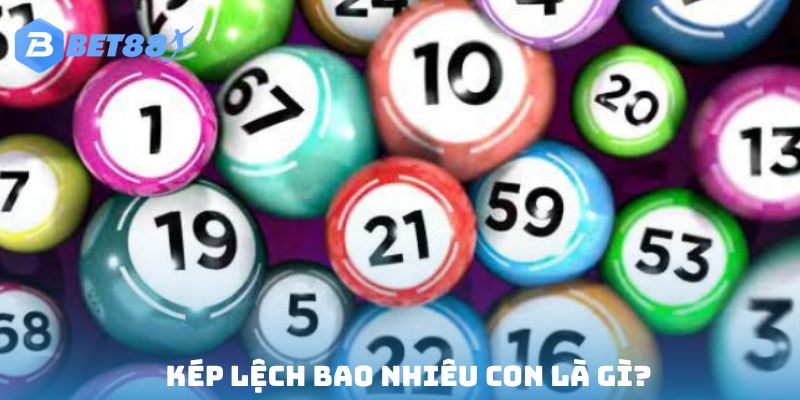 Khái niệm loại hình kép lệch bao nhiêu con
