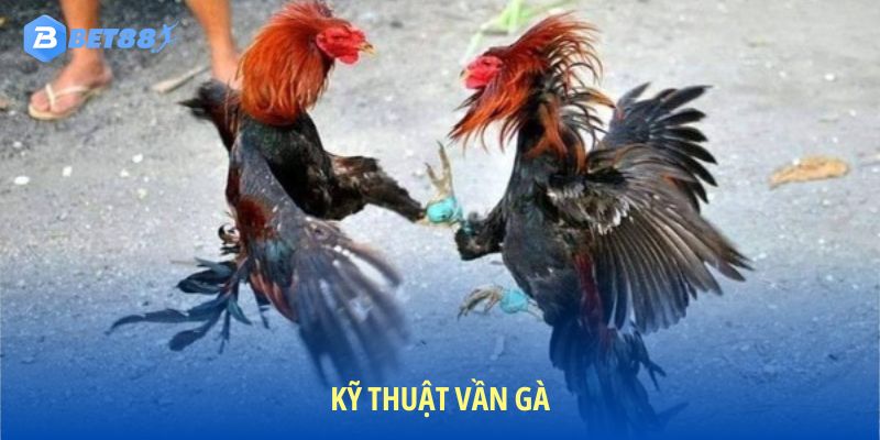 Rèn luyện bài tập bổ sung tăng sức mạnh đôi chân