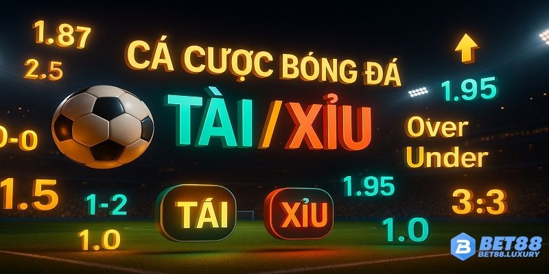 Lịch sử phát triển loại kèo này