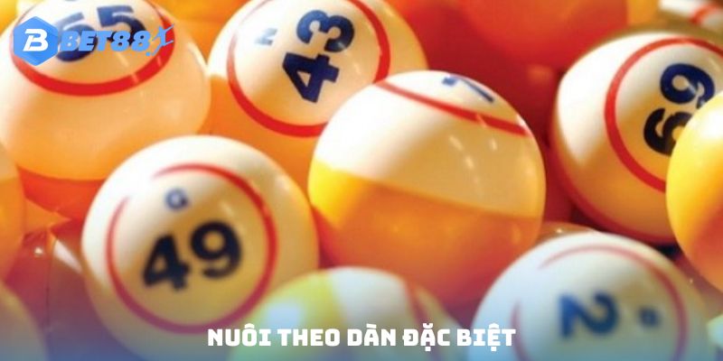 Nuôi lô khung giải đặc biệt