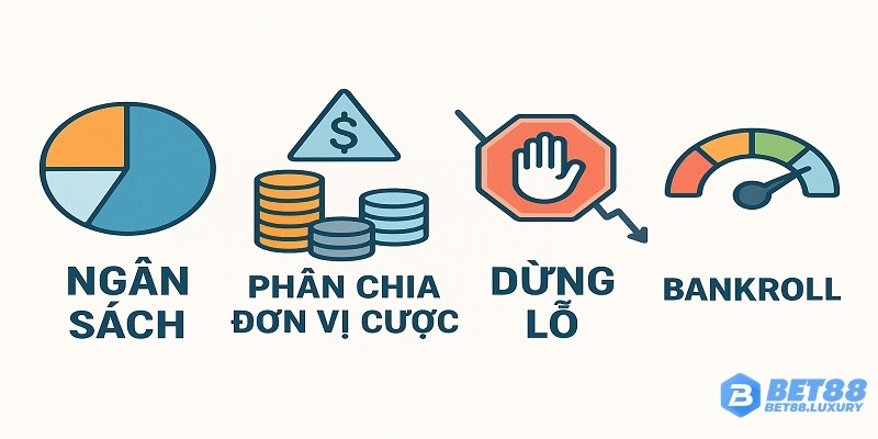 Chìa khóa sinh tồn là quản lý vốn thông minh và không gấp thếp