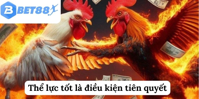 Thể lực tốt là điều kiện tiên quyết